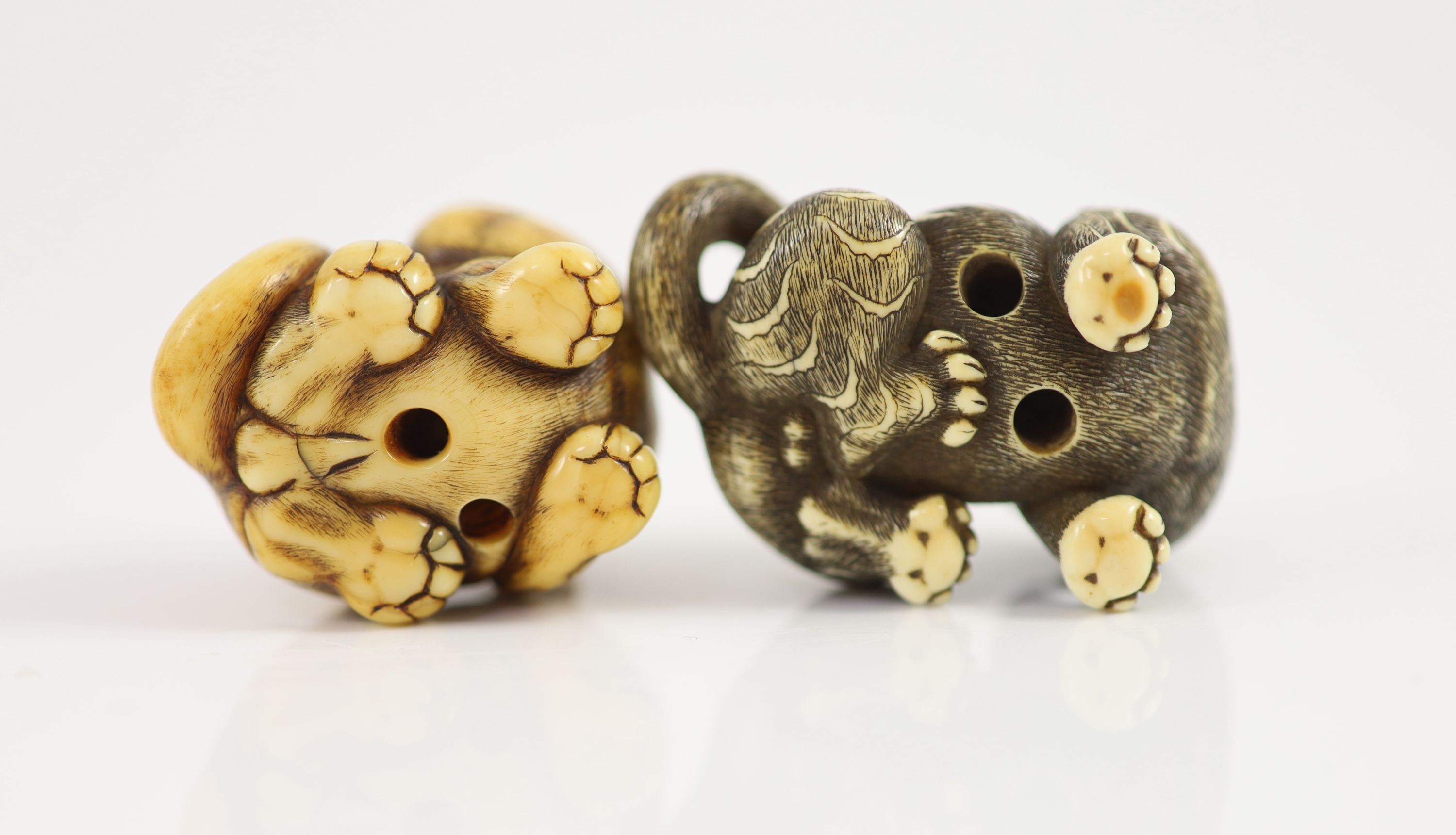 Two Japanese ivory netsuke of a tiger, Edo period, first half 19th century, 4cm and 5cm